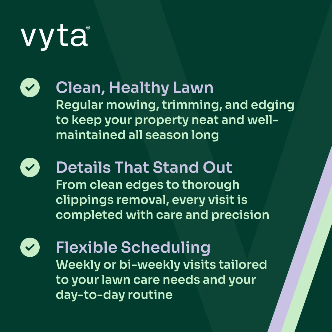 Vyta carousel slide 03 ad creative