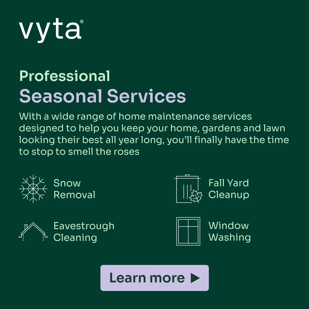 Vyta slide 04 ad creative